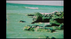 Фильм о семье (часть 2).mp4