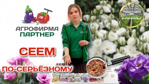 Посев эустомы в масштабах агрофирмы #эустома #цветывсаду #семенапартнер