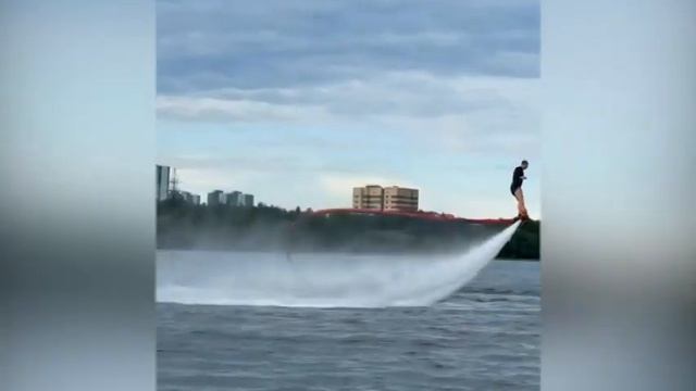 Медвежата помахали лапой югорским водителям смотреть онлайн