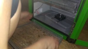 Инкубатор NBF с сайта Mini fermer.Тащим ,распаковываем,смотрим.Опять снимал ребёнок.