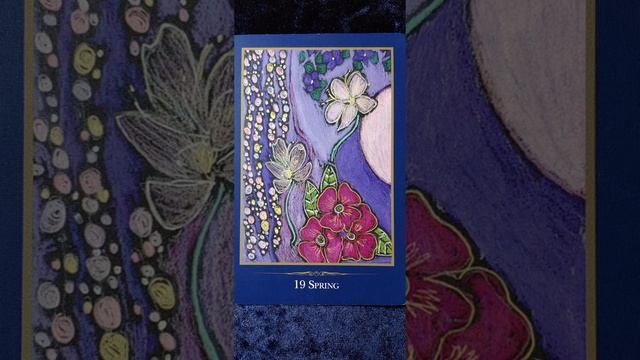 Spring ?️ The Empathic Oracle card meaning смотреть онлайн
