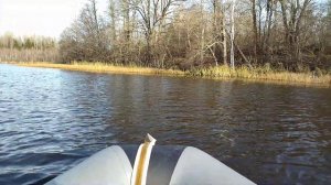 ловля щуки осенью на кружки