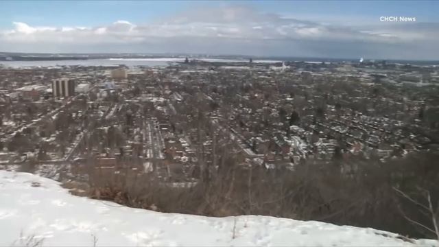 We're Hiring Teachers! We Want to Meet You. смотреть онлайн