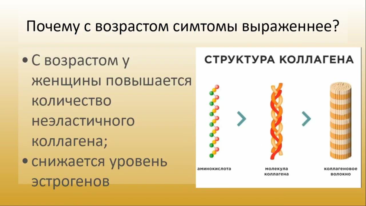 Мышцы тазового дна