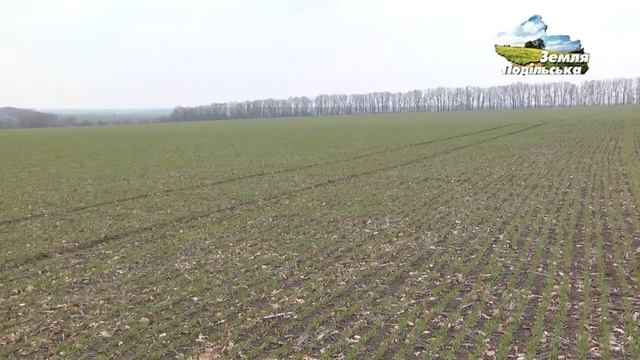 Отзывы о применении биопрепаратов БТУ-Центр смотреть онлайн