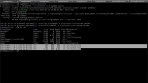 Распределенная файловая система GlusterFS. Часть 1