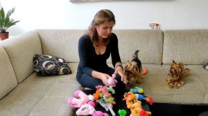 Игрушки для собак