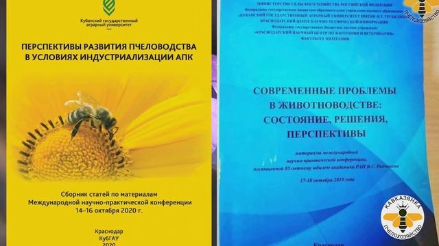 Кавказская порода - Эксперимент 3К