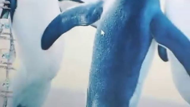 i got the samsung ES90 camera смотреть онлайн