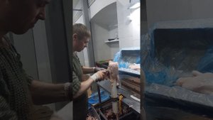 Обвалка курицы.