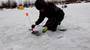 Прекрасный день и очень НЕголодная рыба