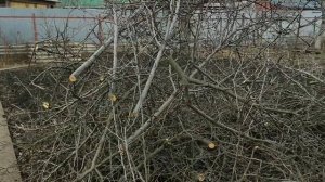 аккумуляторная пила с али спустя месяц каждодневных работ. стоило ли покупать?