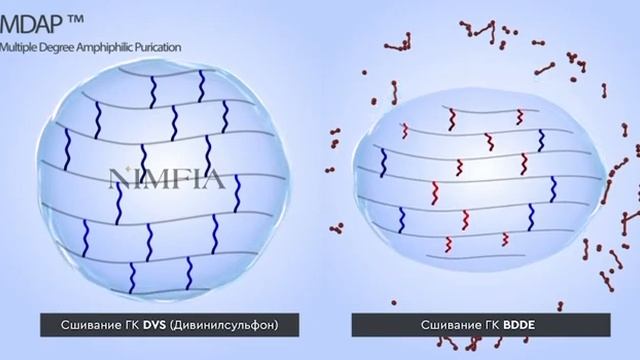 Плотные монофазные однородные филлеры NIMFIA смотреть онлайн