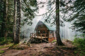 Артём Гельман - Дом в лесу