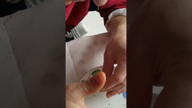 Достаём мальков из умерающей гуппи рыбки