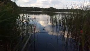 Как убрать мелкую рыбу с точки ловли