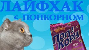 Лайфхак с попкорном и распаковка попперс сюрприз для Вики Spin Master Party Popteenies Коробка