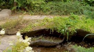 Ландшафтный дизайн загородного участка? Евроремонт на даче?От проекта до реализации.