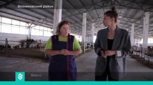 Роддом для коров на 400 голов откроют в ноябре на Племзаводе "Пролетарий" в Вязниковском районе