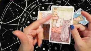 Чаши, Мечи, Пентакли Таро Котиков (Cat Tarot)