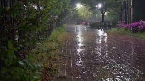 Мягкие звуки дождя для сна. Шум дождя