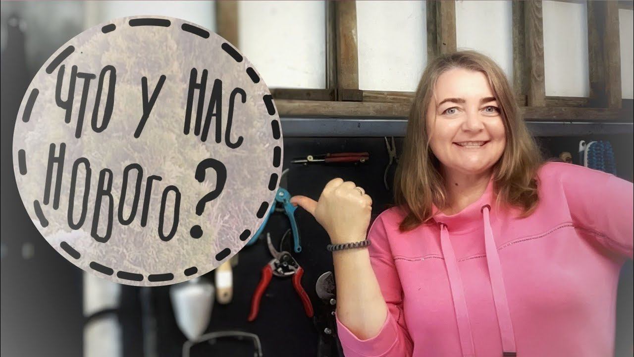 Прогулка по саду #3 . Пергола, хвойная композиция, вечнозелёная аллея.☘️Июль 2023