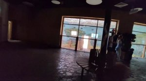 Новый зоопарк города Казани