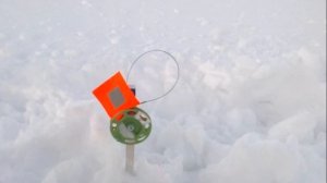 ? КАК ЛОВИТЬ НА ФЛАЖКИ? ОСОБЕННОСТИ ЗИМНЕЙ РЫБАЛКИ.