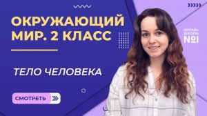 Видеоурок 19. Тело человека. Окружающий мир 2 класс