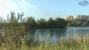 "Юбилейный" в Электростали