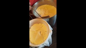 Сыр Шевр ( как делаю его я).
