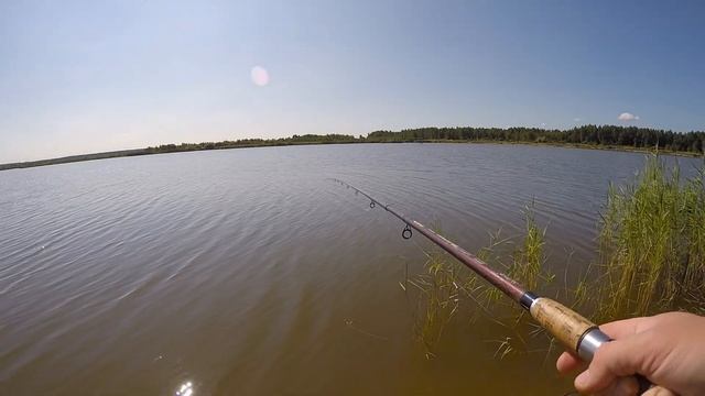Рыбхоз РАКОВО. Семейный выезд на КАРПА. Ночевка с полевой кухней смотреть онлайн