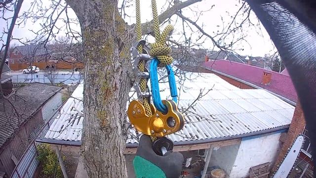 Спилить грецкий орех