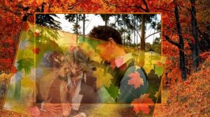 ОСЕНЬ  -   ВИКА ЦЫГАНОВА.