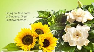 Sunflower Type Fragrance Oil- Natures Garden