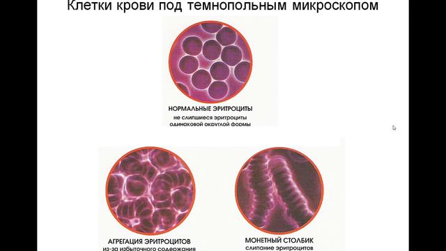 Система_Здоровья
