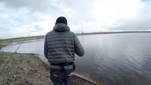 Тест Norstream Experience VS Zetrix Ambition-Z