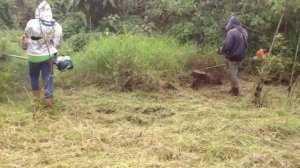 Desbrozadora Makita RBC413U vs Stihl FS 250