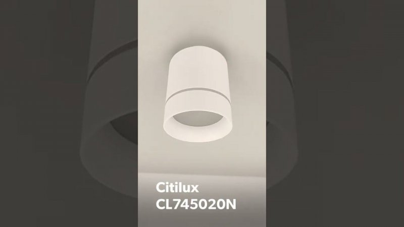 Citilux Борн CL745020N