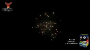 Салют Звезды, М7110.mp4