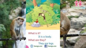 Oxford Dolphin Reader Starter Level - Monkeying around