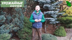 УЗНАЙТЕ, надо ли раскислять и известковать почву НА ВАШЕМ УЧАСТКЕ? Избыток известкования ОПАСЕН!
