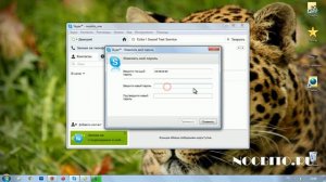 Как поменять пароль в Skype? [Видеоурок]