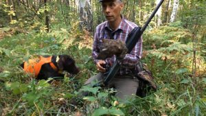 З Сентября  Охота на вальшнепа