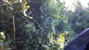 Поездка на Нахимовское озеро