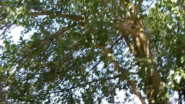 Наш урожай с огорода//Антисептики Бакздрав//Жизнь в деревне смотреть онлайн