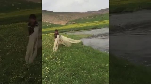 нбм
