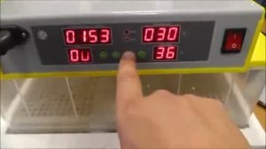 Китайский инкубатор И 96