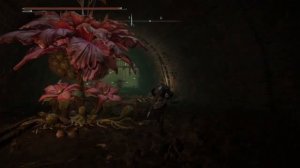 Где найти Пожирателя навоза в столичной канализационной тюрьме Elden Ring