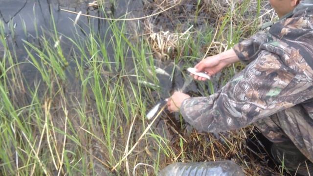Летняя рыбалка на удочку,ловля плотвы и ельца,из речки в озеро смотреть онлайн